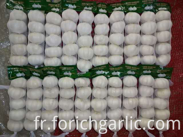 Pure White Garlic